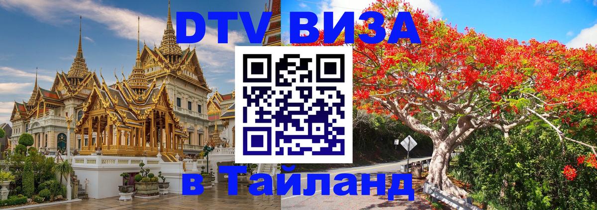 Оформление DTV визы под ключ: стоимость и тарифы, только загранпаспорт - 
